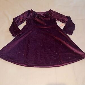 Jumping Beans Toddler Girls Plum Velour Dress Adoptive 2T Hook n Loop Neckline